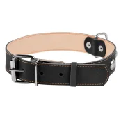 Ошейник двойной с украшением для собак 35 мм, 48-63 см, черный