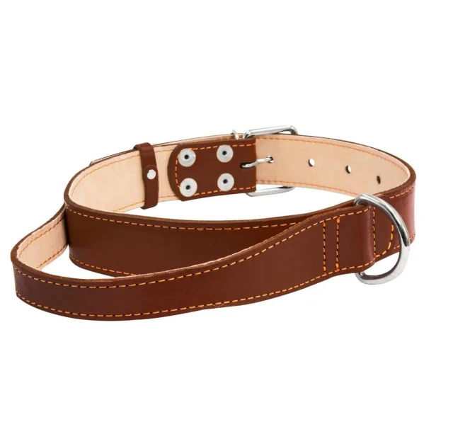 Ошейник двойной с ручкой для собак 45 мм, 56-68 см, коричневый