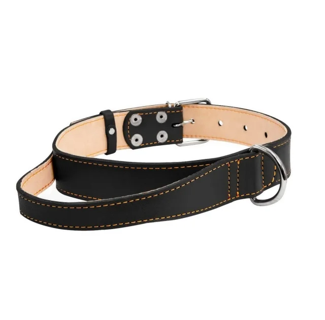 Ошейник двойной с ручкой для собак 45 мм, 56-68 см, черный