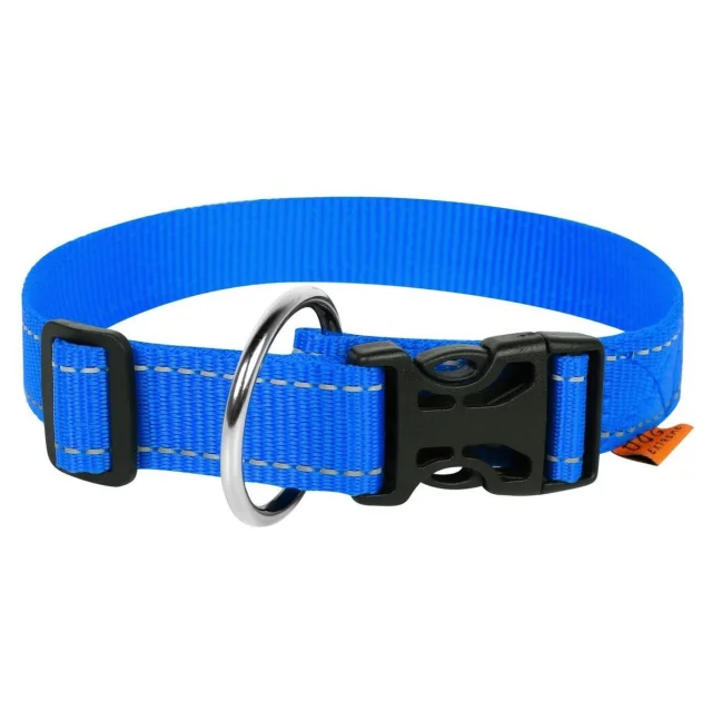 Нейлоновий нашийник Dog Extreme для собак, регульований, 25мм, 31-49 см, блакитний