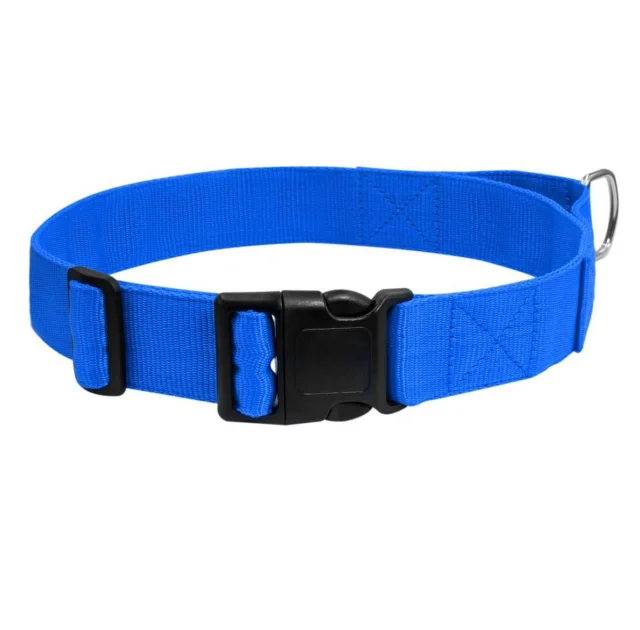 Нейлоновий нашийник з ручкою Dog Extreme для собак, регульований, 40 мм, 55-75 см, блакитний