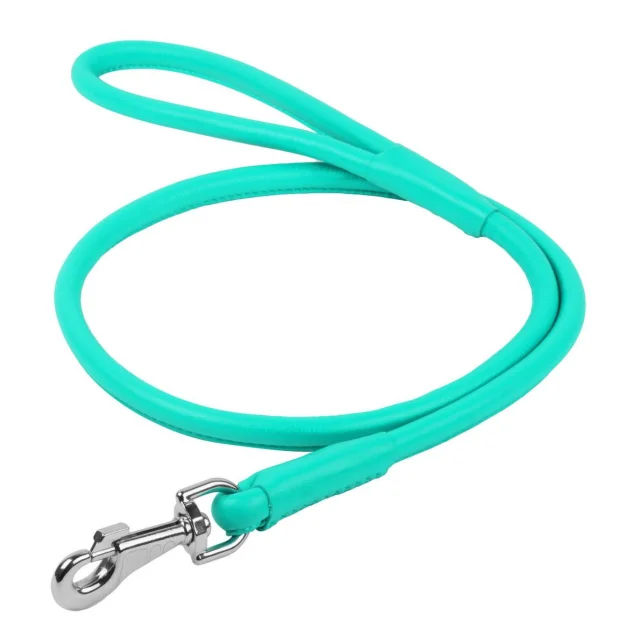 Поводок круглый Waudog Glamour для собак 13 мм, 122 см, ментоловый