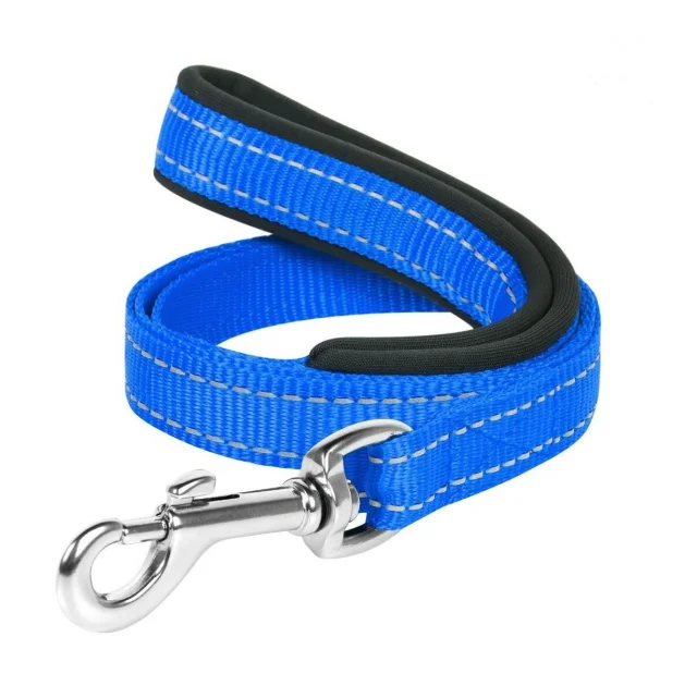 Нейлоновий поводок Dog Extreme c прорезініной ручкою для собак 25 мм, 122 см, блакитний