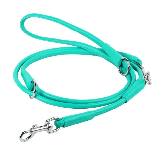 Повідець-перестіжки Waudog Glamour круглий для собак, 6 мм, м'ятний