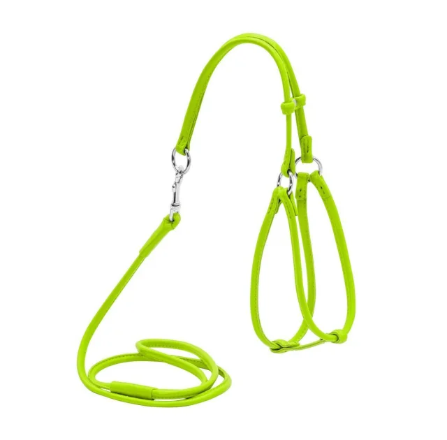 Шлея с поводком Waudog Glamour №2 круглая для кошек и мелких собак 6 мм, 90 см, салатовый