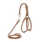 Шлея-поводок круглая Waudog Soft №2 для кошек и мелких собак, 6 мм, 90 см, коричневая