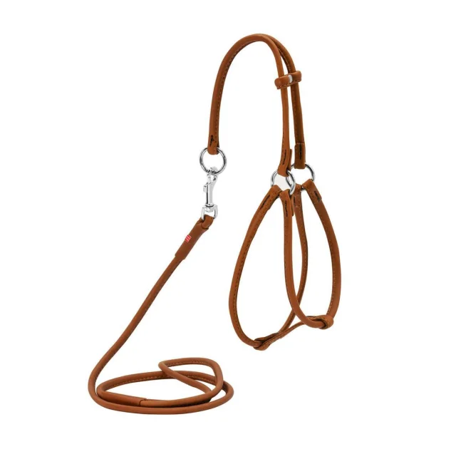 Шлея-поводок круглая Waudog Soft №2 для кошек и мелких собак, 6 мм, 90 см, коричневая