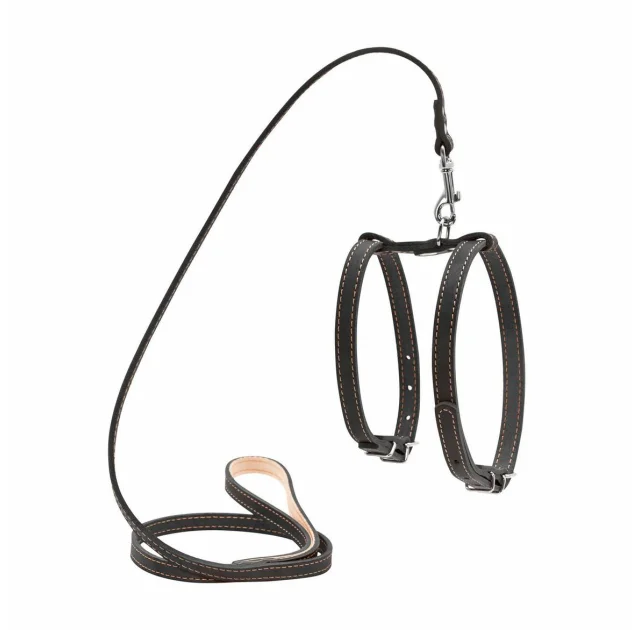 Шлея с поводком для собак мелких собак, 14 мм, 122 см, черная