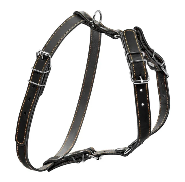 Шлея одинарна для собак дрібних і середніх порід, 20 мм, чорна