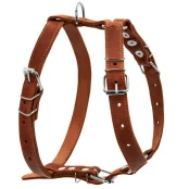 Шлея одинарная для собак средних пород, 25 мм, коричневая