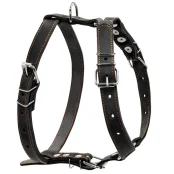 Шлея одинарная для собак средних пород, 25 мм, черная