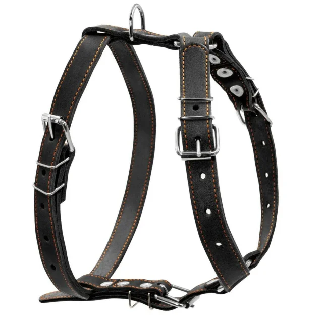 Шлея одинарная для собак средних пород, 25 мм, черная