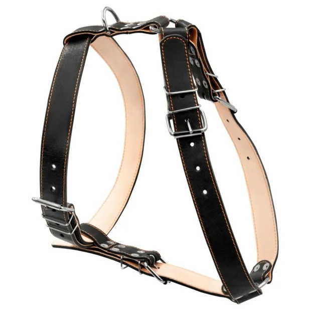 Шлея двойная для собак крупных пород, N2, 35 мм, черная