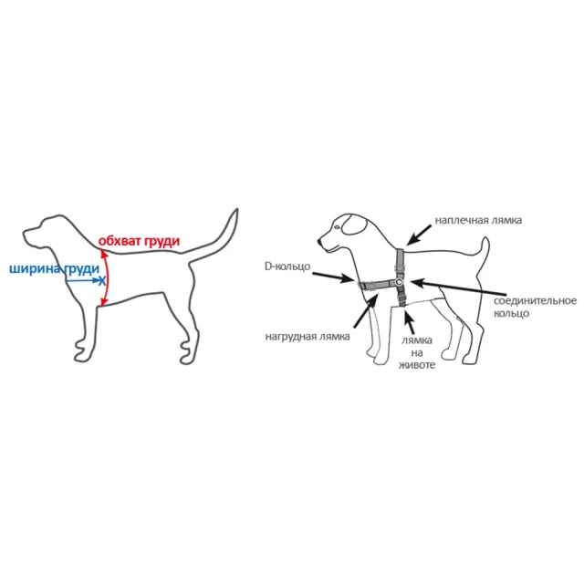 Шлея Premier Easy Walk антирывок, для собак, размер M, черная
