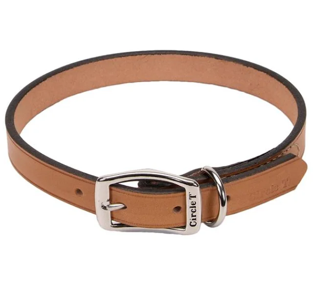 Кожаный ошейник Coastal Circle T Leather Town для собак, бежевый, 2.5×60 см