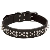Двойной ошейник Coastal Spiked Leather с шипами, для собак, черный, 4.25×65 см