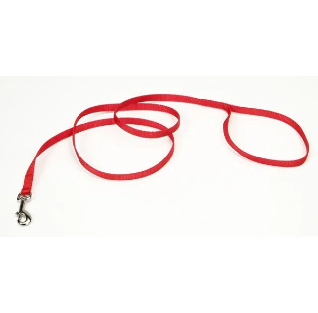 Повідець Coastal Nylon для собак, помаранчевий, 1×1.2 м