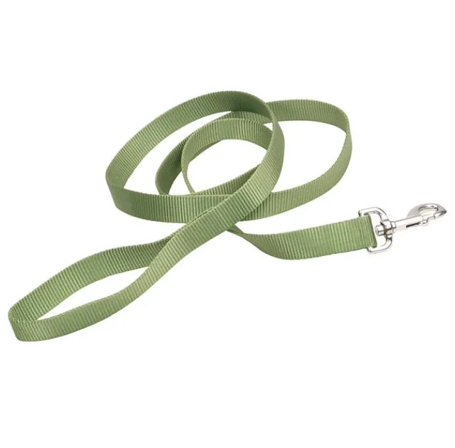 Нейлоновый поводок Coastal Nylon Training для собак, зеленый, 2.5×1.8 м
