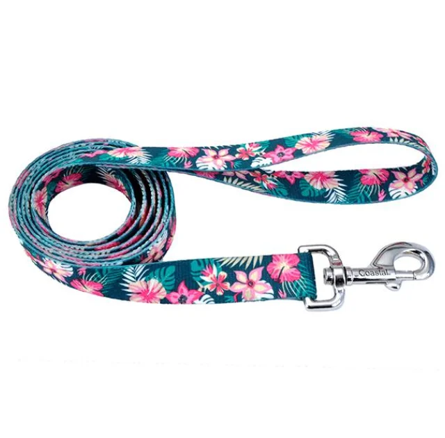 Повідець Coastal Pet Attire Style для собак, бірюзово-рожевий, 1×1.2 м