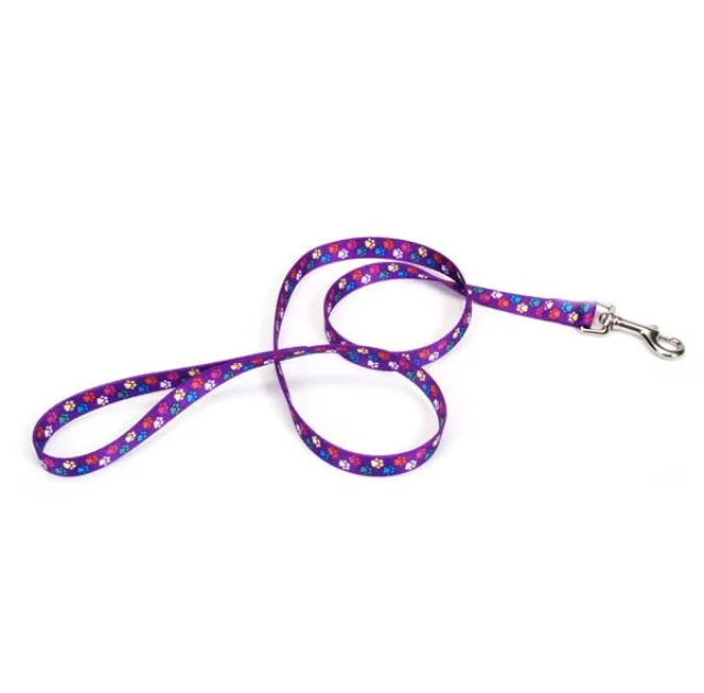 Повідець Coastal Pet Attire Style для собак, лапка, 2×1.2 м