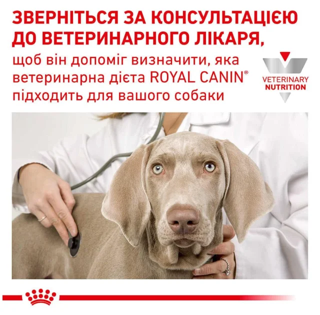 Сухий корм Royal Canin Skin Support при дерматозах і випаданні шерсті у собак, 7 кг