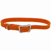 Нейлоновый ошейник Coastal Sunburst для собак, зеленый, 1×30 см