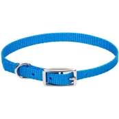 Нашийник Coastal Nylon Web для собак, блакитний, 1×25 см