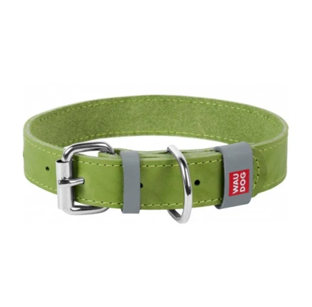 Нашийник Waudog Classic, шкіра, металева пряжка, ширина 12 мм, довжина 19-25 см, салатовий