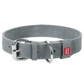 Ошейник Waudog Classic, кожа, металлическая пряжка, ширина 15 мм, длина 27-36 см, серый