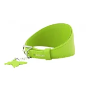 Ошейник Waudog Glamour для борзых, без украшения, ширина 15 мм, длина 23-27 см, салатовый