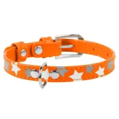 Ошейник Waudog Glamour с узором "Звёздочка", ширина 12 мм, длина 21-29 см, оранжевый