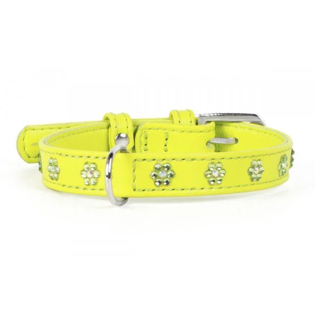 Ошейник Waudog Glamour с клеевыми стразами "Цветочек", ширина 12 мм, длина 21-29 см, салатовый