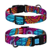 Ошейник Waudog Nylon с рисунком "Лето" ширина 25 мм, длина  35-58 см
