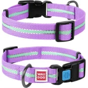 Ошейник Waudog Nylon светонакопительный, ширина 15 мм, длина 23-35 см, фиолетовый