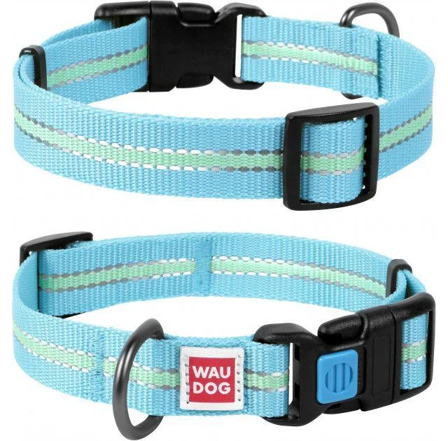 Ошейник Waudog Nylon светонакопительный, ширина 25 мм, длина 35-58 см, голубой