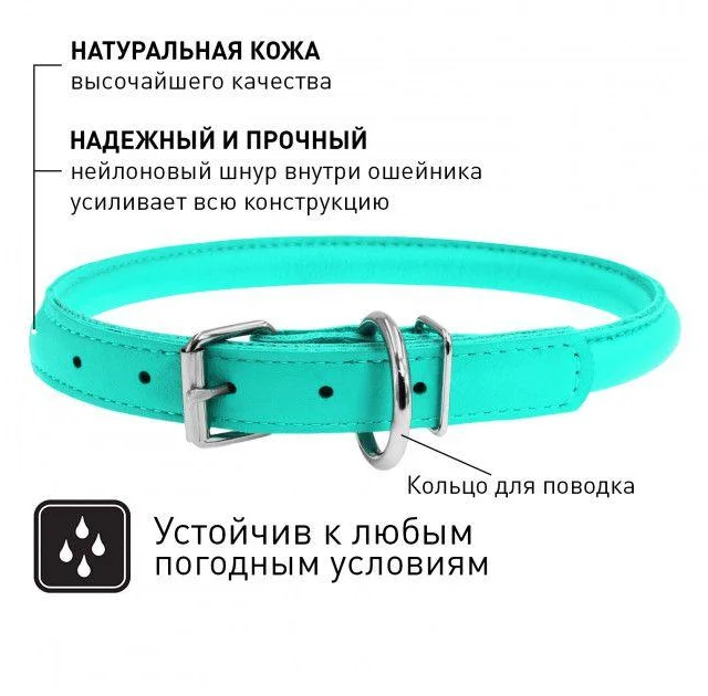 Ошейник Waudog Glamour круглый, диаметр 13 мм, длина 53-61 см, ментоловый