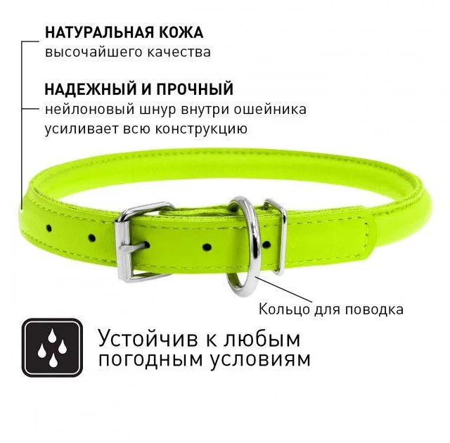 Ошейник Waudog Glamour круглый, диаметр 13 мм, длина 53-61 см, салатовый