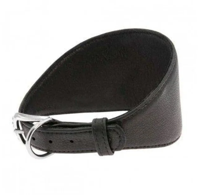 Ошейник Waudog Soft, для борзых, без украшений, ширина 15 мм, длина 23-27 см, черный