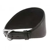 Ошейник Waudog Soft, для борзых, без украшений, ширина 20 мм, длина 34-40 см, черный