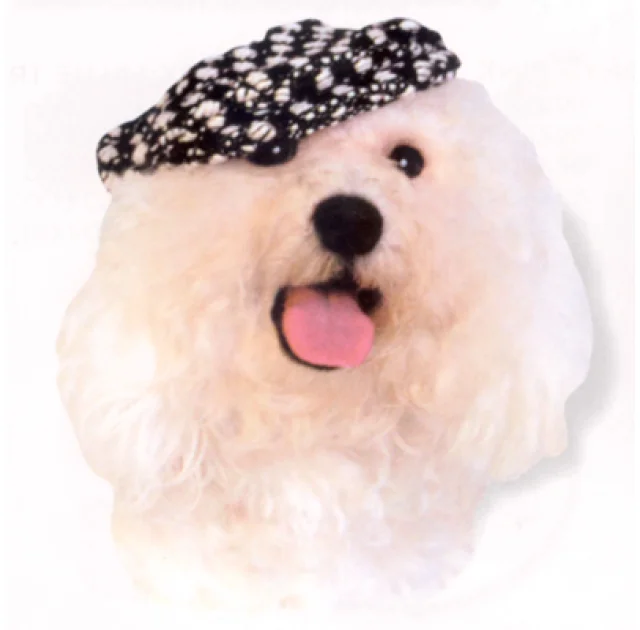 Кепка Doggyduds Chunky Boucle для собак, розмір L, чорна
