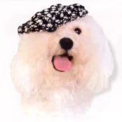 Кепка Doggyduds Chunky Boucle для собак, розмір M, чорна