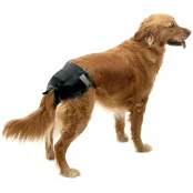 Підгузки Savic Comfort Nappy Т3 для собак, 34-48 см, 12 шт