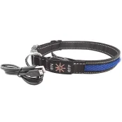 Нашийник LED AnimAll для собак M 2,5 / 40-50 см, синій