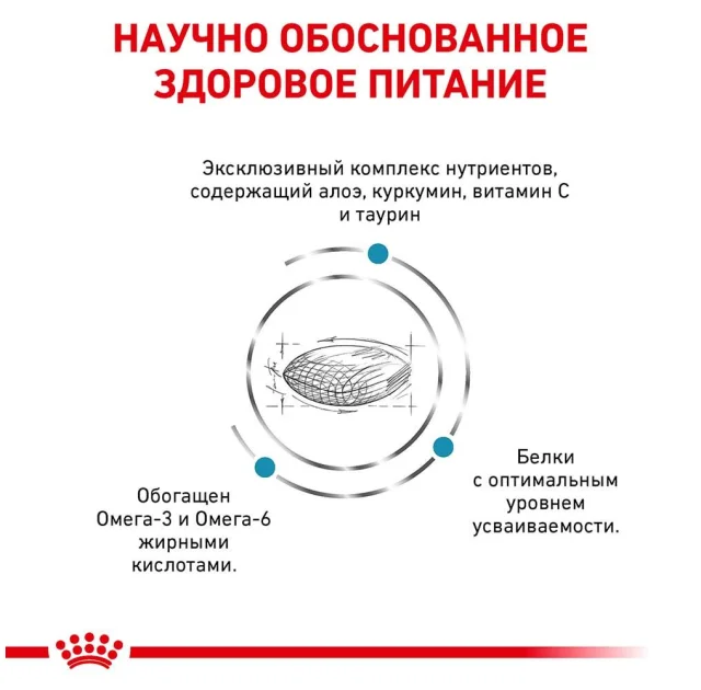 Сухий корм Royal Canin Skin Support при дерматозах і випаданні шерсті у собак, 2 кг