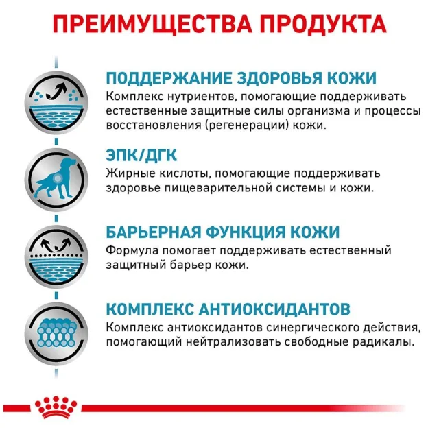 Сухий корм Royal Canin Skin Support при дерматозах і випаданні шерсті у собак, 2 кг