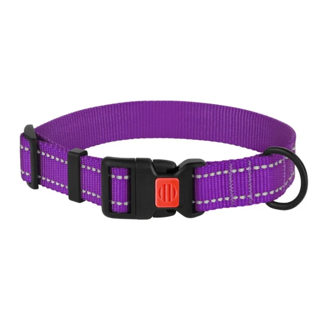 Ошейник нейлоновый BronzeDog Active для собак, со светоотражением, 16 мм/25-33 см, фиолетовый, 50Т