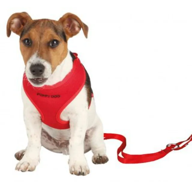 Повідець + шлея + желетка Trixie для собак, нейлон, 26х34 см х 10 мм х 2 м, червоний