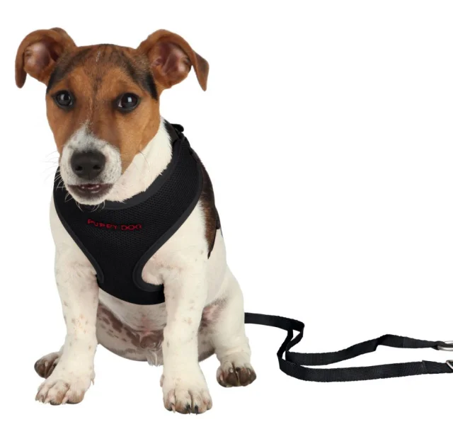 Повідець + шлея + желетка Trixie для собак, нейлон, 26х34 см х 10 мм х 2 м, чорний