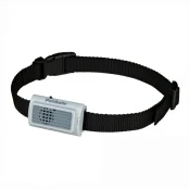 Ошейник Trixie для дрессировки мелких собак, чёрный