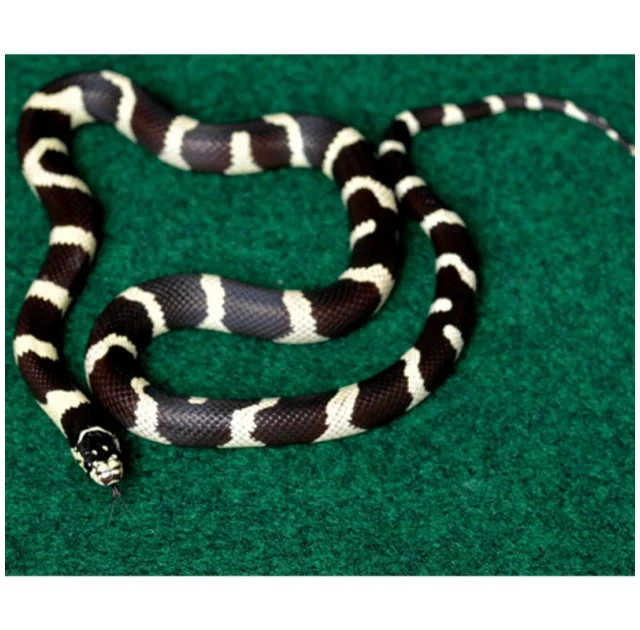 Коврик-субстрат Komodo Reptile Carpet, 60x50 см